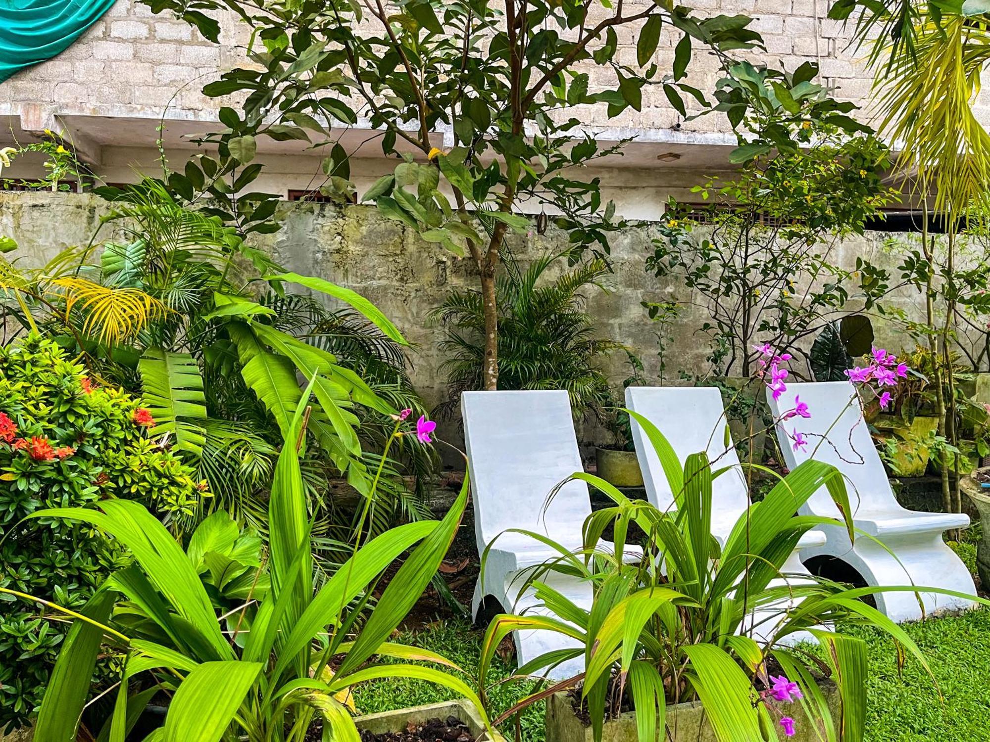 Galle Camellia Bagian luar foto