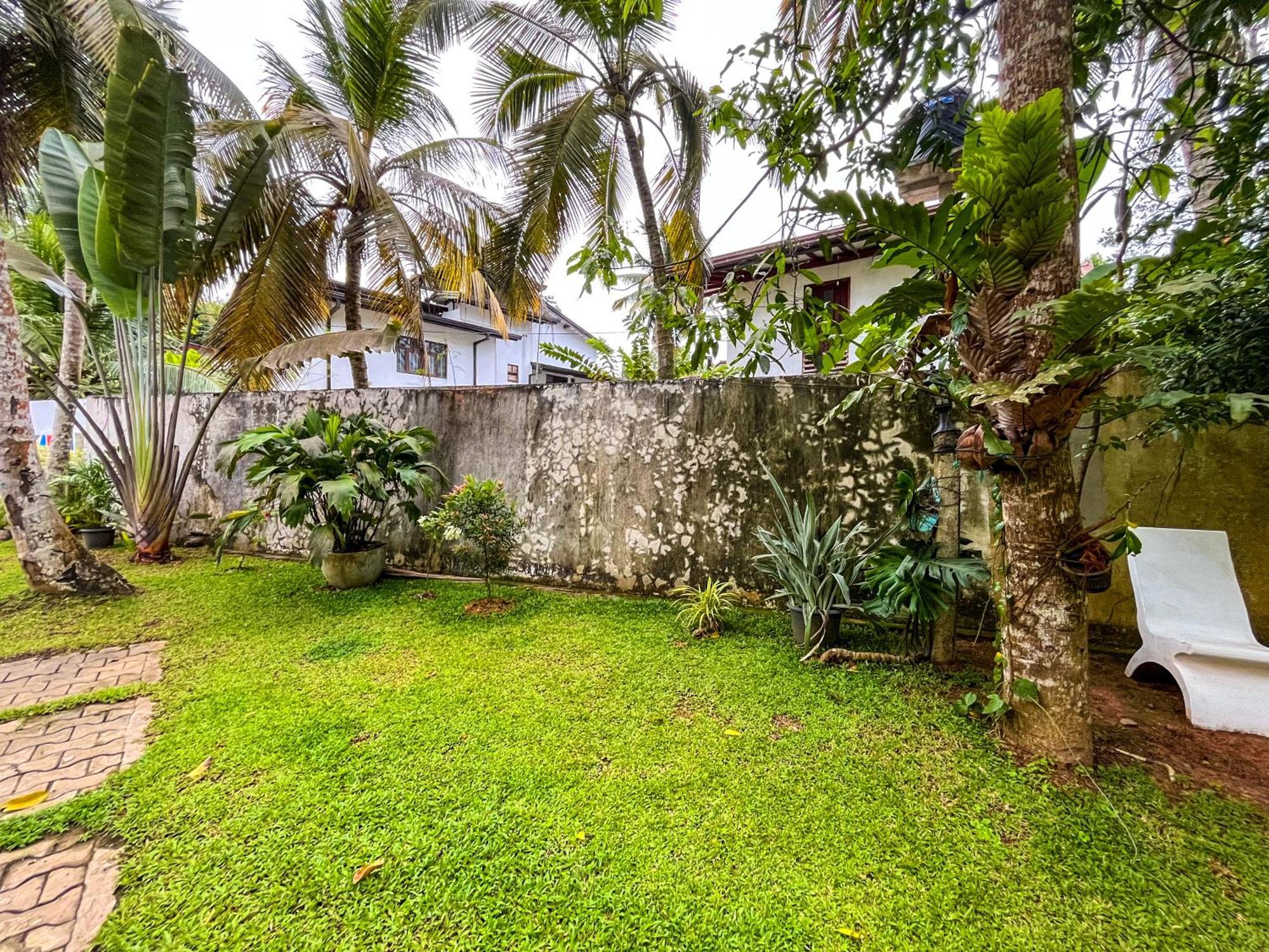 Galle Camellia Bagian luar foto